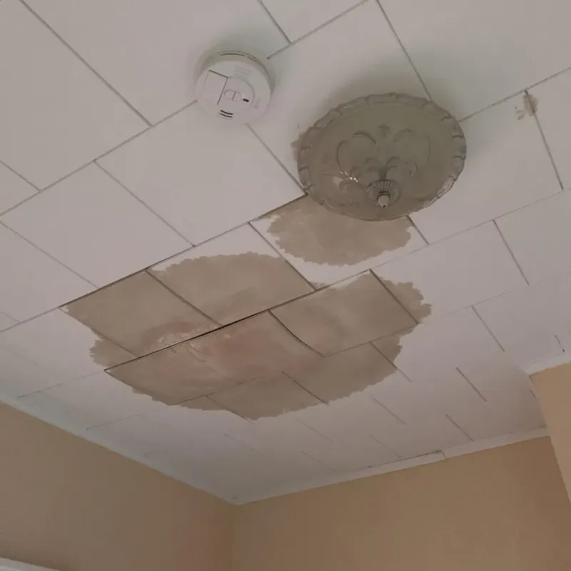 Ceiling Water Damage Repair in Sheffield Lake, OH