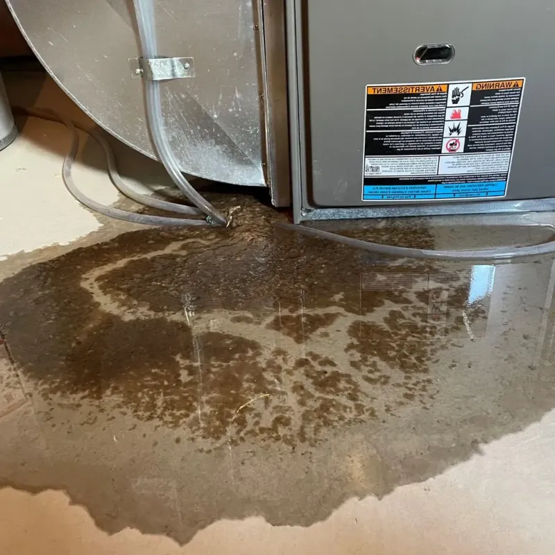 Pipe Burst and Leak Restoration in Sheffield Lake, OH