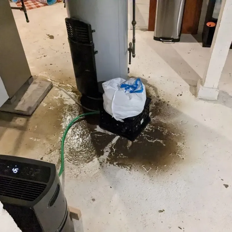 Sewage Backup Cleanup Service in Sheffield Lake, OH
